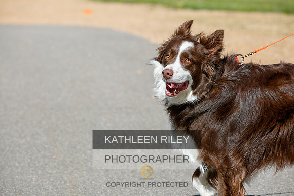 2022-KathleenRileyPhotography-4027