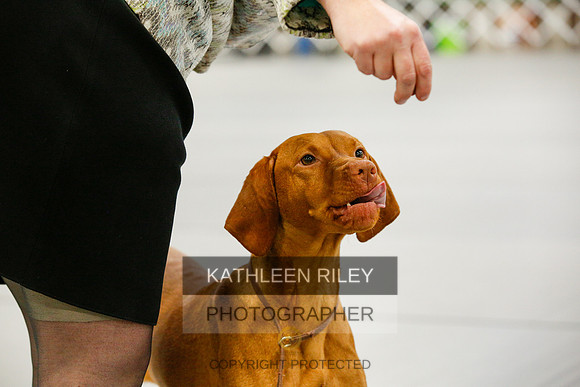 2022-KathleenRileyPhotography-9831