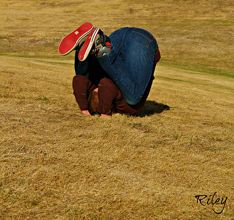 Somersault