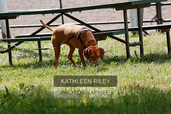 2022-KathleenRileyPhotography-9845