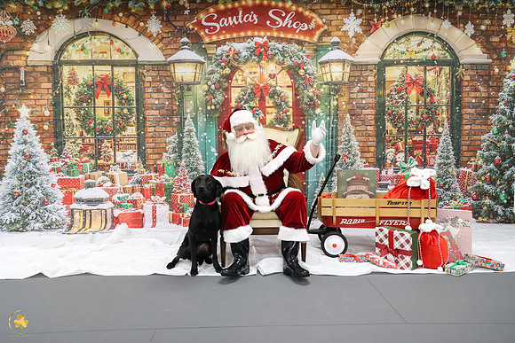 KARD4132