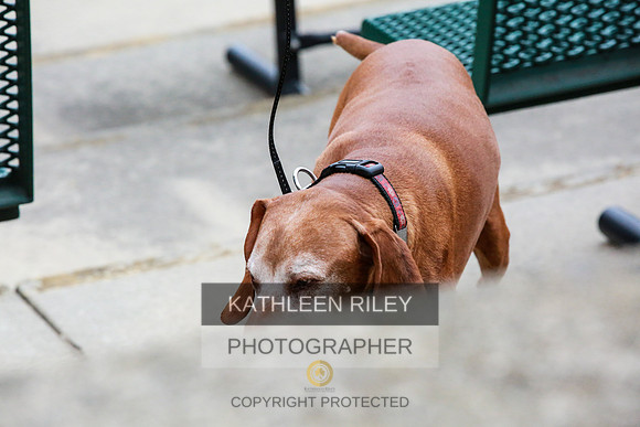 2022-KathleenRileyPhotography-7372