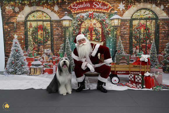 KARD4164