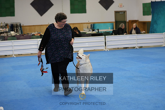 SJLT3733