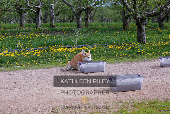2022-KathleenRileyPhotography-8597