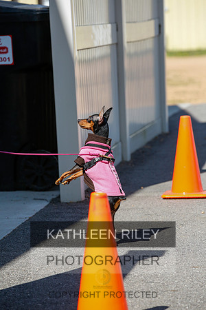 2022-KathleenRileyPhotography-4201