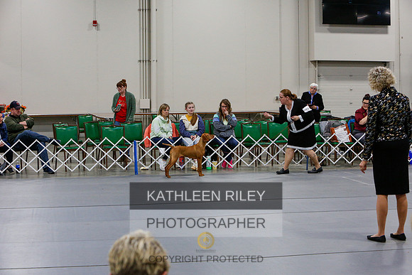 2022-KathleenRileyPhotography-7388