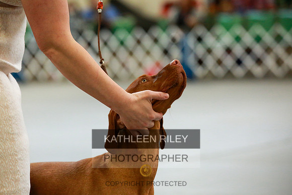 2022-KathleenRileyPhotography-8881