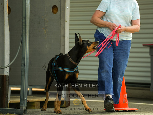 2022-KathleenRileyPhotography-04381