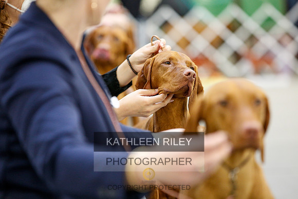 2022-KathleenRileyPhotography-2093