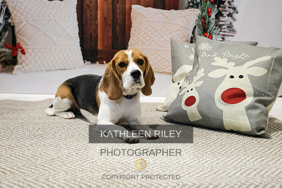 2022-KathleenRileyPhotography-7789