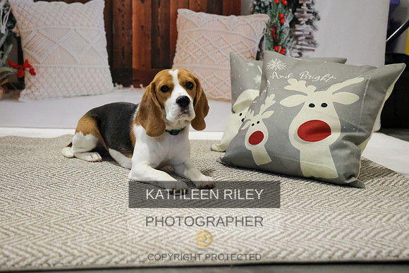 2022-KathleenRileyPhotography-7790
