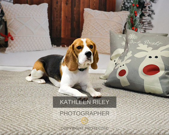 2022-KathleenRileyPhotography-7791