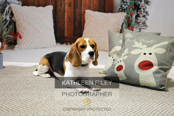 2022-KathleenRileyPhotography-7792