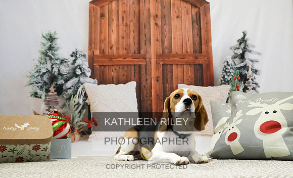 2022-KathleenRileyPhotography-7798