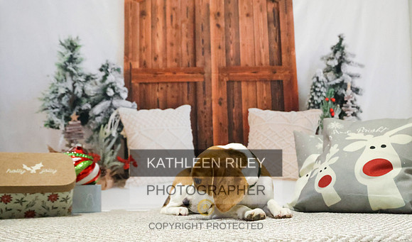 2022-KathleenRileyPhotography-7799