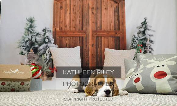 2022-KathleenRileyPhotography-7806