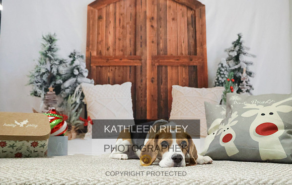 2022-KathleenRileyPhotography-7809