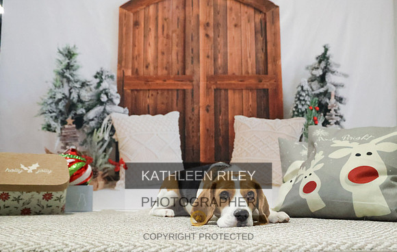 2022-KathleenRileyPhotography-7812