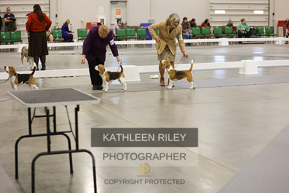 2022-KathleenRileyPhotography-7782