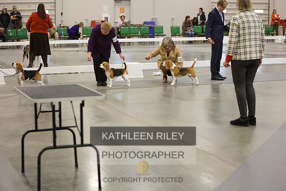 2022-KathleenRileyPhotography-7784