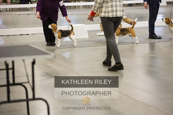 2022-KathleenRileyPhotography-7785
