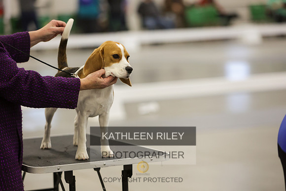2022-KathleenRileyPhotography-7760