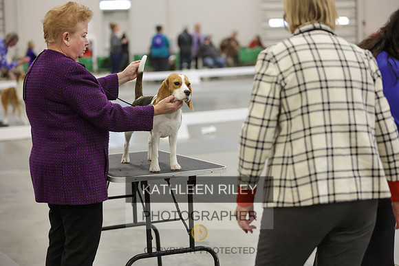 2022-KathleenRileyPhotography-7761