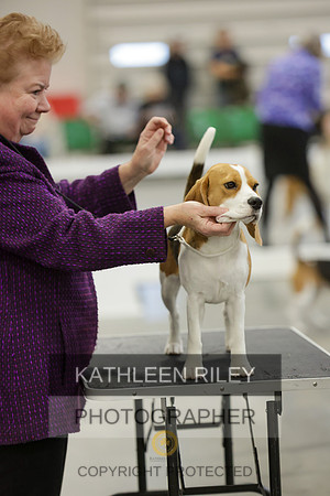 2022-KathleenRileyPhotography-7767