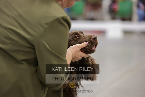 2022-KathleenRileyPhotography-7887