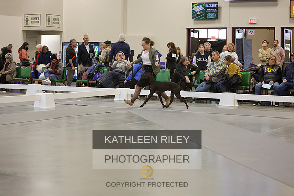 2022-KathleenRileyPhotography-7432