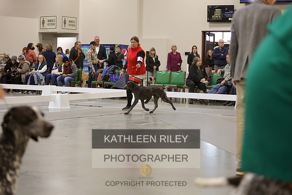 2022-KathleenRileyPhotography-7507