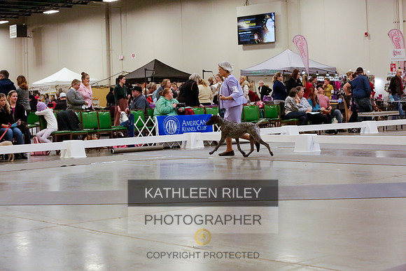 2022-KathleenRileyPhotography-8185