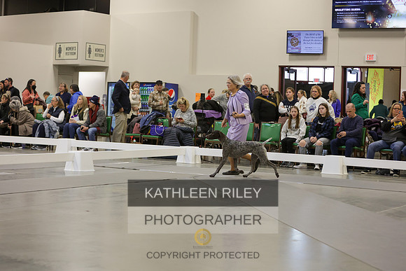 2022-KathleenRileyPhotography-7564