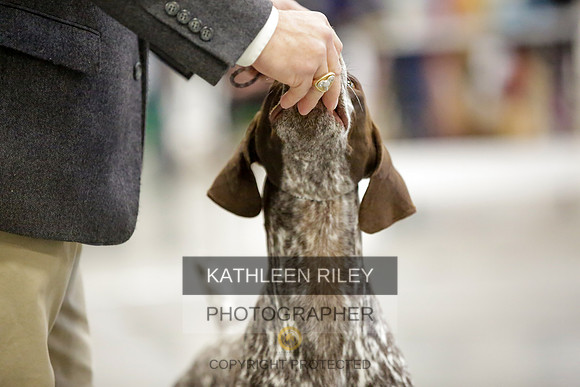 2022-KathleenRileyPhotography-8318