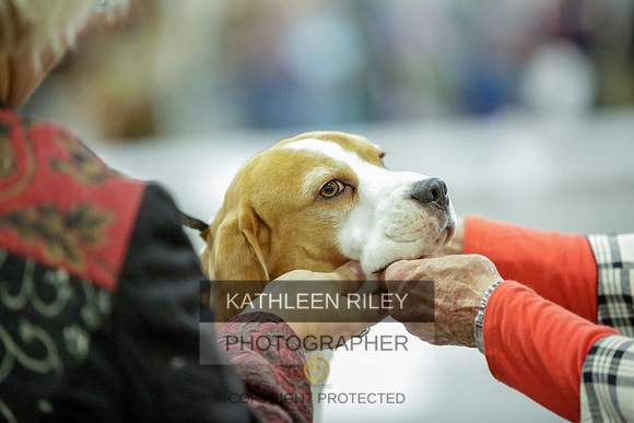 2022-KathleenRileyPhotography-8329
