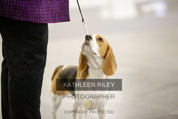 2022-KathleenRileyPhotography-8361