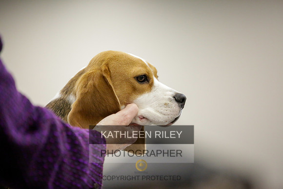 2022-KathleenRileyPhotography-8371