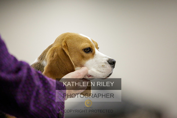 2022-KathleenRileyPhotography-8372