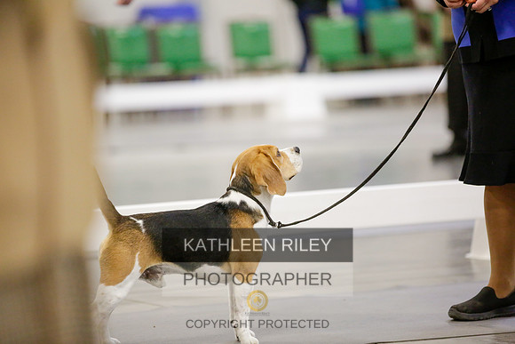 2022-KathleenRileyPhotography-8377