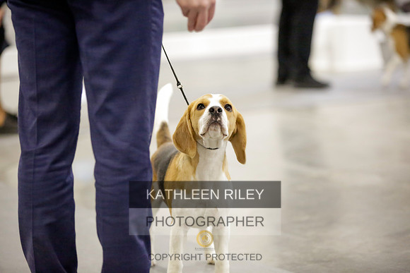 2022-KathleenRileyPhotography-8395