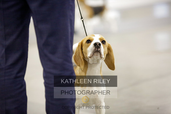 2022-KathleenRileyPhotography-8406