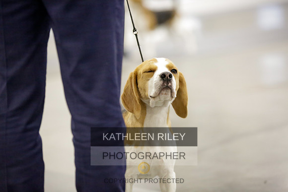 2022-KathleenRileyPhotography-8407