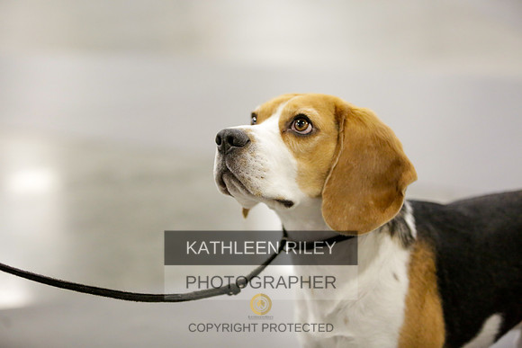 2022-KathleenRileyPhotography-8408