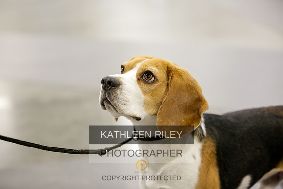 2022-KathleenRileyPhotography-8409