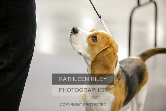 2022-KathleenRileyPhotography-8410