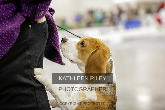 2022-KathleenRileyPhotography-8412