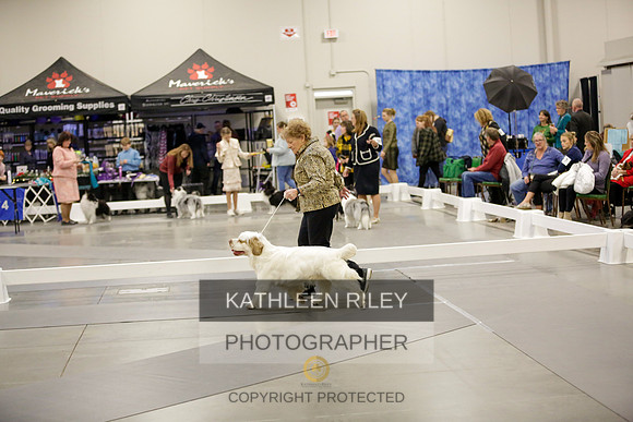 2022-KathleenRileyPhotography-8449