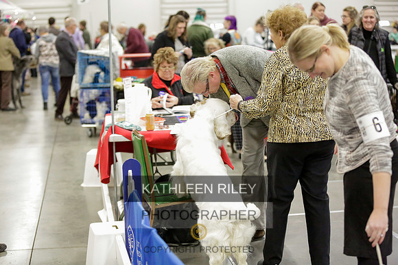 2022-KathleenRileyPhotography-8455