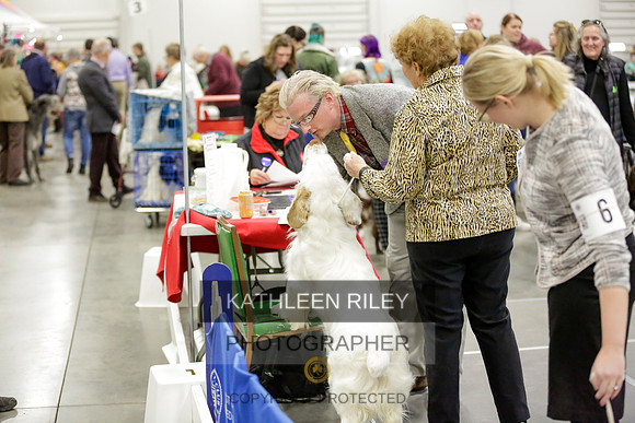 2022-KathleenRileyPhotography-8460